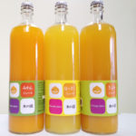 フルーツ果汁　国産フルーツ果汁　（有田みかん、ゆず、シークワサー、晩白柚、かぼす）ならNORUCA.com